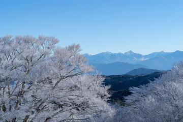 霧氷した木々と冠雪した南アルプスの山々