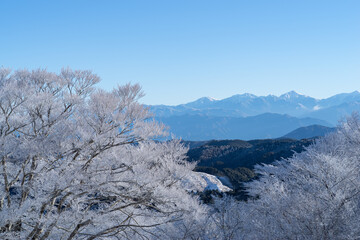 霧氷した木々と冠雪した南アルプスの山々