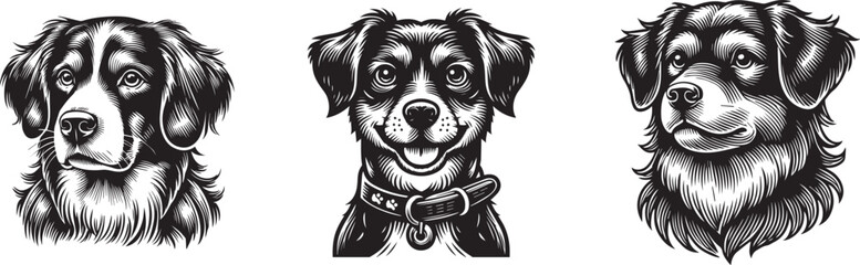 black and white background