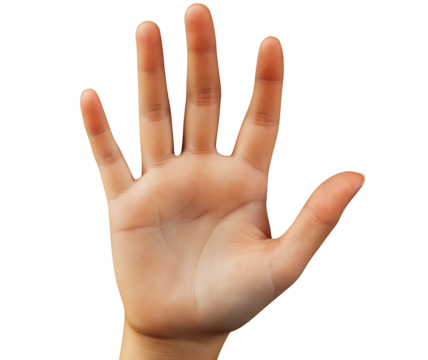 hand isolated on white background