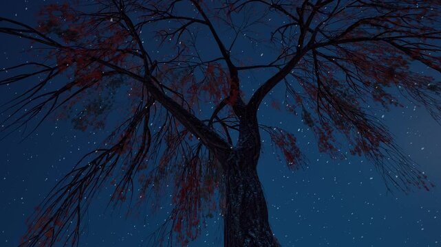 night forest with moon