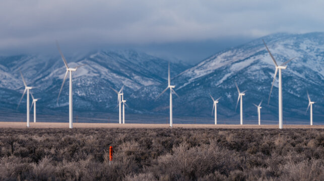 wind turbines farm on field