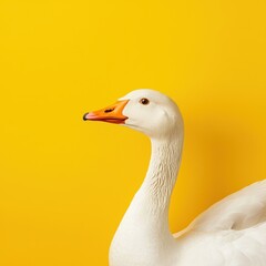 Majestic White Goose against Vibrant Yellow Background