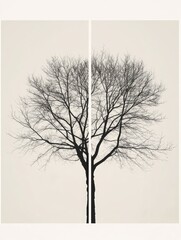 Tree Silhouette