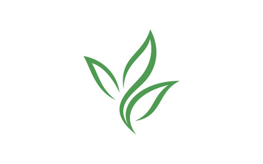 Fototapeta premium leaf logo vector illustration, simple leaf line logo template