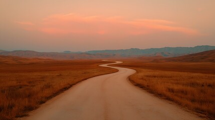 Aerial View of Arid Desert Landscape with Winding Trail