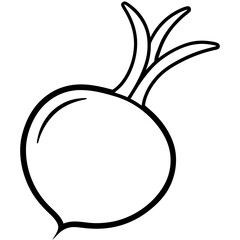  turnip line art vector illustration 