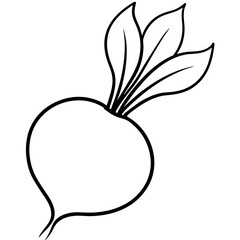 radish line art vector illustration 