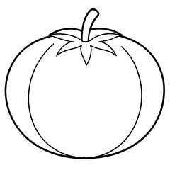 tomato line art vector illustration 