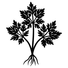 parsley root silhouette vector illustration 