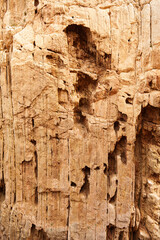 Background of a mountain wall. Caminito del Rey