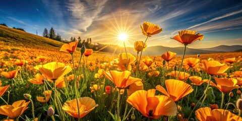 Field of golden poppies swaying gently in the warm sunlight of a summer day, with rays of sunshine casting long shadows across the vibrant flowers , natural beauty, rural scenery