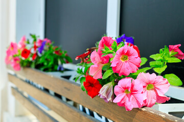 decoration of the building with flowers in a wooden box on the street