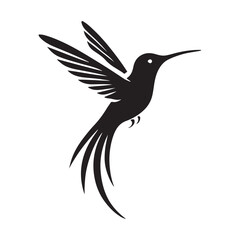 Silhouette of a Hummingbird in Flight