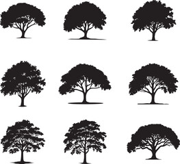 set of silhouette clipart of a large oak tree, Tree element to create a group of plants.