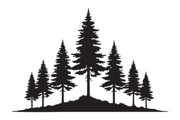 Silhouette of a Group of Pine Trees on a Hill