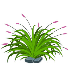 Reeds in grass in the stones isolated on white background. Vector illustration in cartoon style.