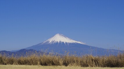 【静岡】三保半島からの富士山