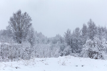 spring day after a snowfall