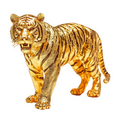 Fototapeta premium gold tiger isolated on white