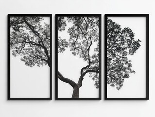 Black and White Tree