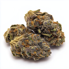 Medical marijuana weed bud isolated on white background