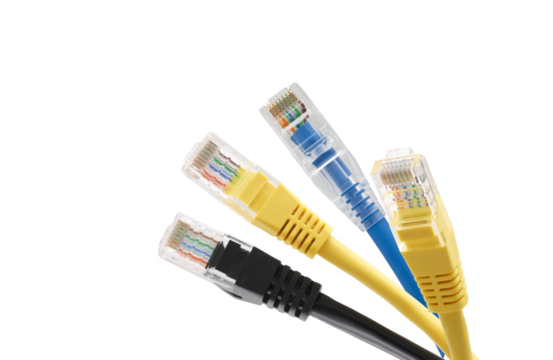 Multi colored network cables with molded RJ45 plug on transparent background (PNG File)