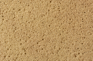 surface of beige color sponge cushion or foam in close-up macro view, textured soft and slightly...