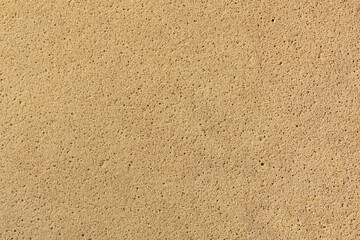 surface of light beige or off white sponge cushion, textured soft and slightly bouncy material with tiny holes or pores, abstract background
