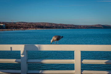 Sopot, Poland - December 25 2024 