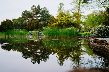 Tranquil Pond View With Greenery and Trees Perfect for Nature Backgrounds