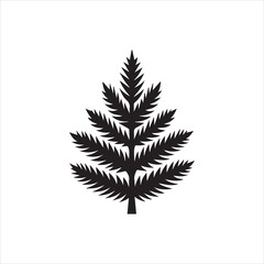 fern leaf isolated on white