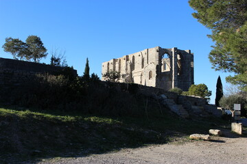 Abbaye Saint-Félix-de-Montceau à Gigean (Hérault) : abbatiale vue de loin