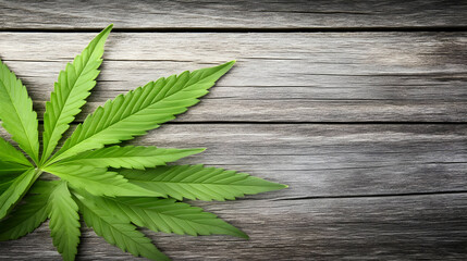 Obraz premium Green Cannabis Leaf Lies on a Rustic Wooden Background Texture.