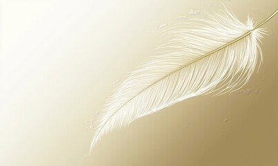 A delicate white feather on a soft, gradient background, suggesting elegance and tranquility.