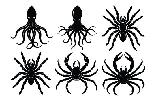 Set of sea fish octopas silhouettes vector illustration