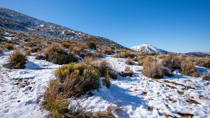 landscape with snow, Authur's Pass, New Zealand