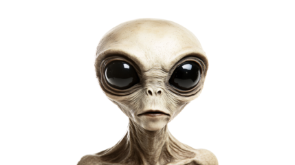 Alien with large black eyes on a transparent background