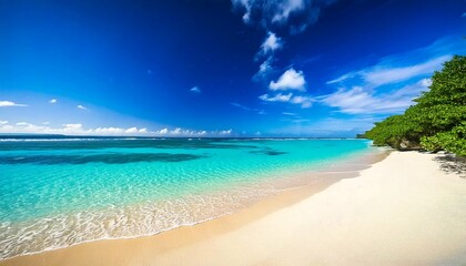 Naklejka premium 南国の美しい砂浜