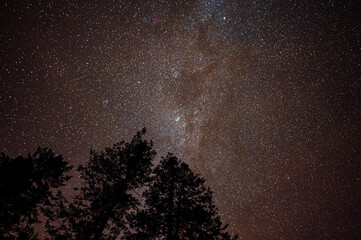 Dark sky full of stars over the forest. Bieszczady Mountains, Carpathians, Poland.