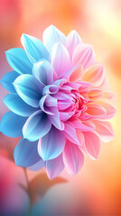 Fototapeta premium A Vibrant Flower Blooms with Pastel Hues on a Soft Blurred Background.