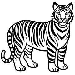 tiger illustration