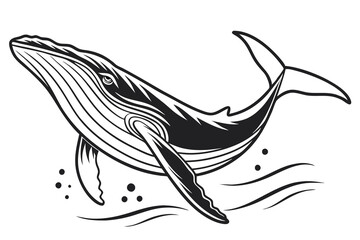 Naklejka premium black color line art A image of a whale swimming gracefully in the ocean C.eps