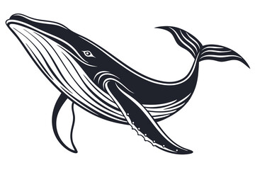 Fototapeta premium black color line art A image of a whale swimming gracefully in the ocean G.eps