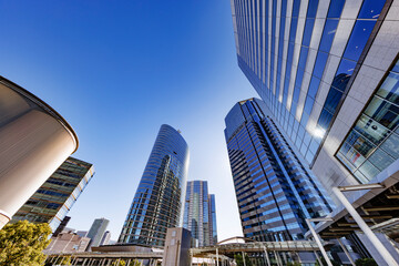 Fototapeta premium 巨大なビルが立ち並ぶ東京の街