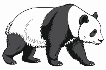 Obraz premium Giant panda, full body shot, side view, realistic fur texture, black and white coloration A.eps