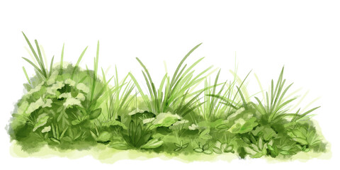 Green grass and lush bushes Watercolor digital illustration. . Spring greenery and nature landscape isolated on white background. Grass thickets and small flowers