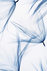Obraz premium Delicate dandelion seeds float gracefully across a soft white background in intricate blue tones showcasing their unique textures and shapes