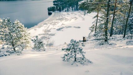 a winter landscape where a beautiful lake stretches across the scene. The center of the lake is still open water, reflecting the gray winter sky and the snow-covered trees that line its edges. On one 