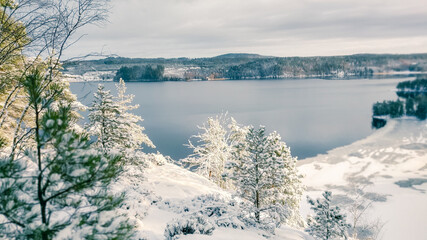 a winter landscape where a beautiful lake stretches across the scene. The center of the lake is still open water, reflecting the gray winter sky and the snow-covered trees that line its edges. On one 